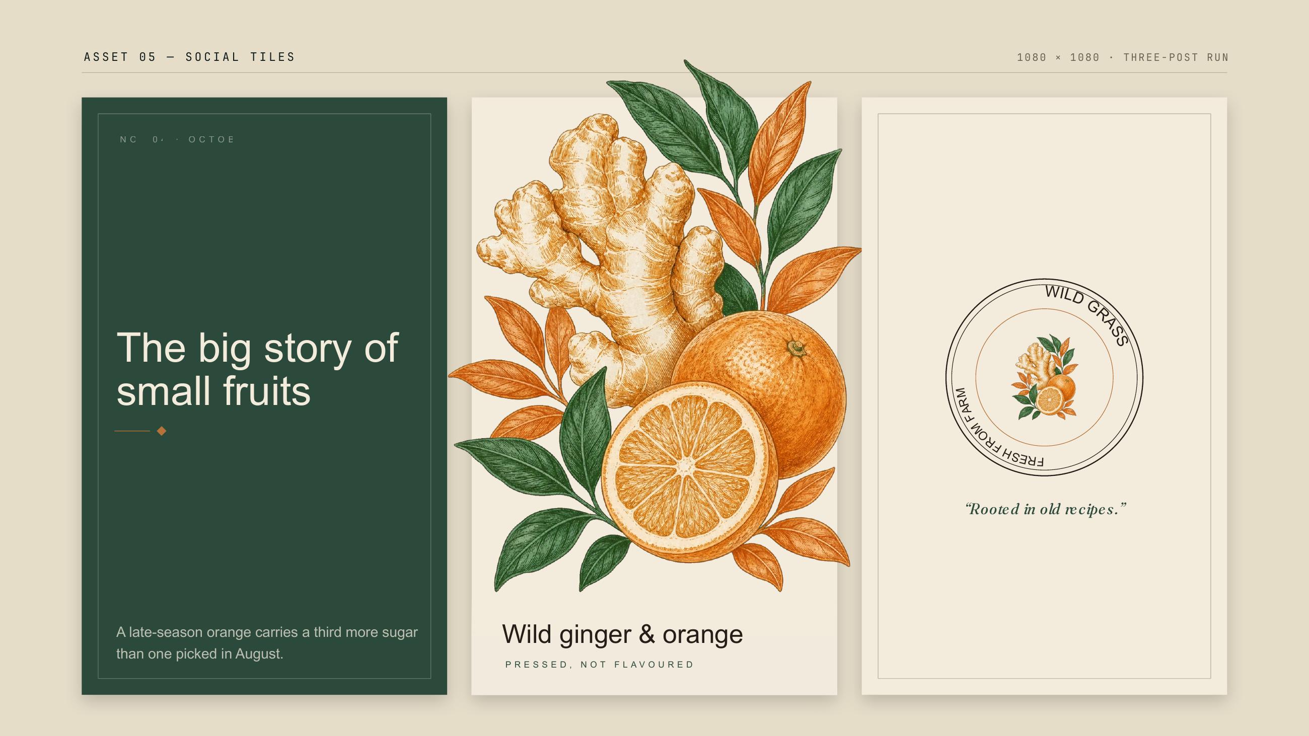Wild Grass identity, 6